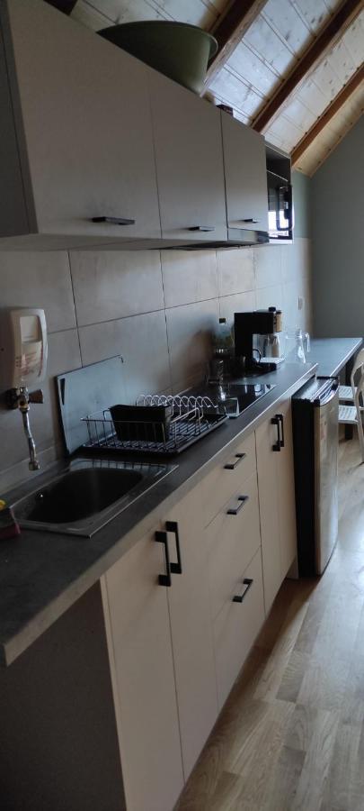Villa Susanne Szklarska Poreba Dış mekan fotoğraf